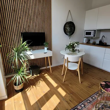 Apartmán Klimatyczny W Sercu Bydgoszczy Bydhošť