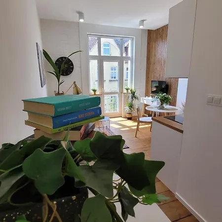 Апартаменты Klimatyczny W Sercu Bydgoszczy *