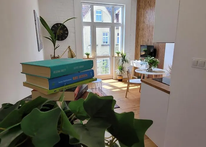 Apartment Klimatyczny W Sercu Bydgoszczy *