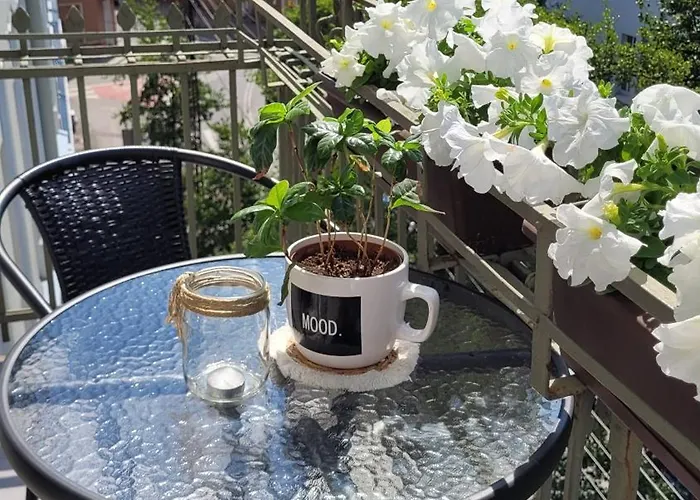 Apartment Klimatyczny W Sercu Bydgoszczy *